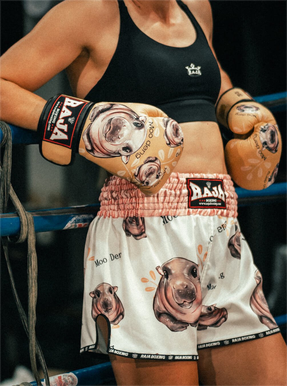 boxer